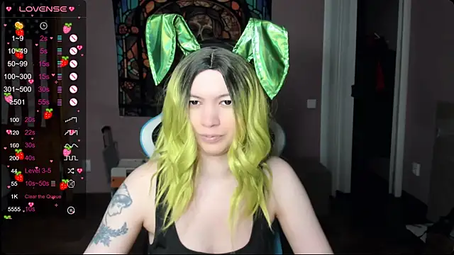 Project_hisoka webcam