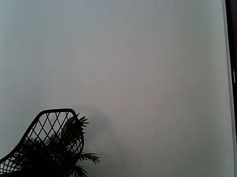 Bianca0011 webcam
