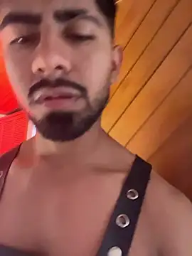 Teaserhoussejj_ webcam