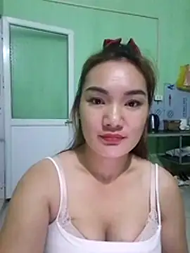 Voiva11 webcam