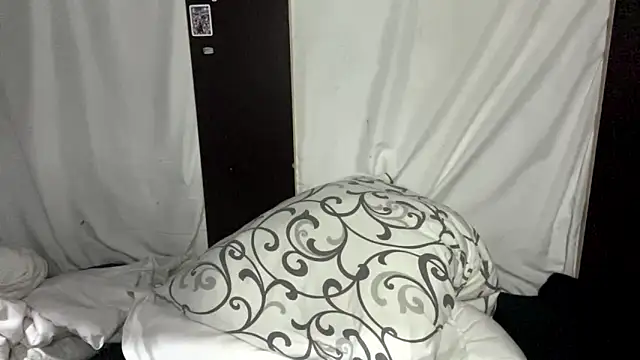 LittleEres webcam