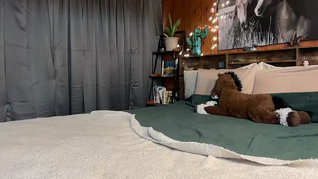 ella2sweet webcam