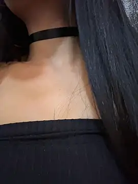 Dakota-fire webcam