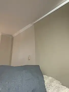 Samispank webcam
