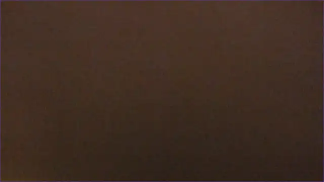 wastforu webcam