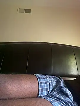 ThickDic28 webcam