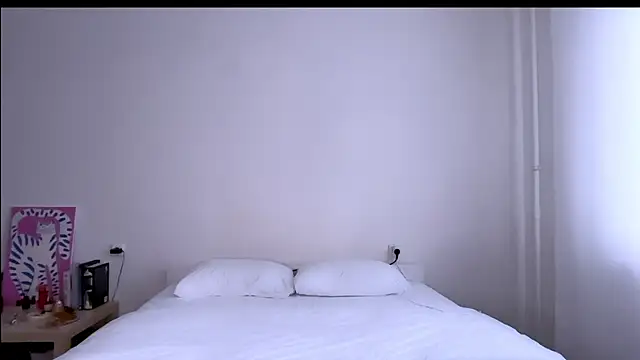 Milky___Way webcam