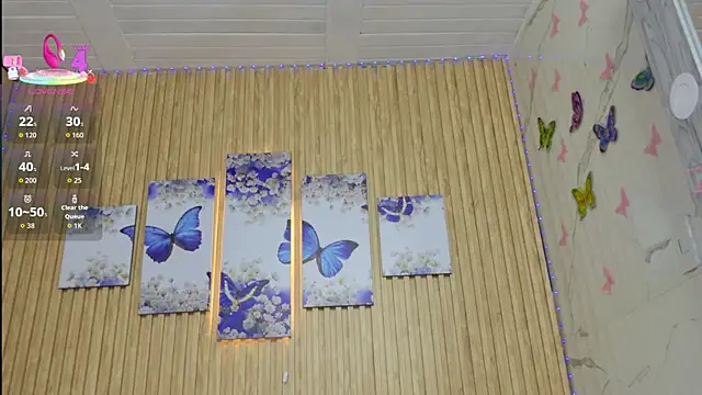 Moonceleste webcam