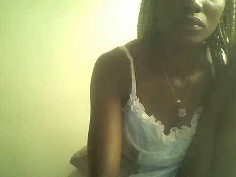 DelteAfriq webcam