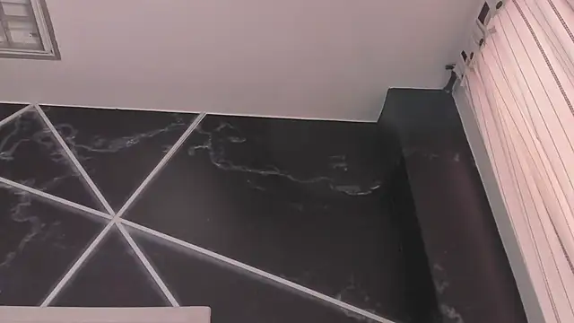AerumChae webcam