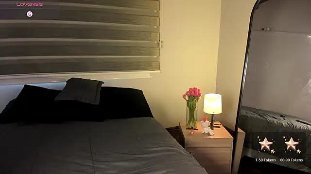 MERIDA_TAYLOR webcam