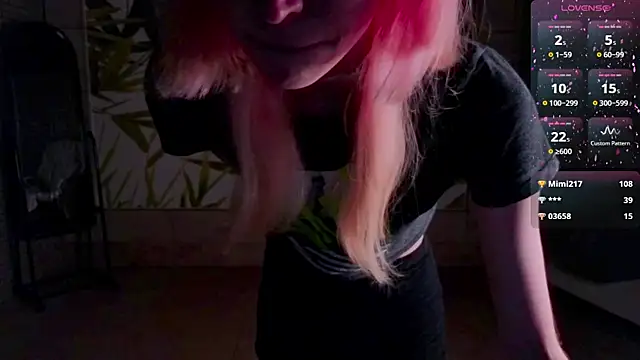 fleximona webcam