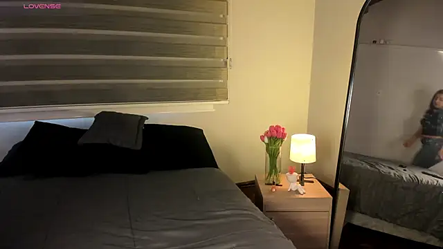 MERIDA_TAYLOR webcam