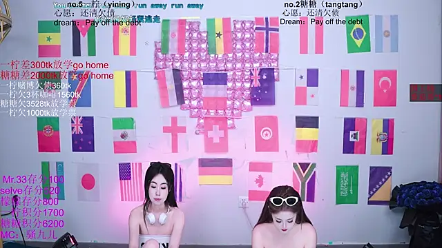 CCTW-100 webcam