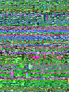 terrestrial-mer