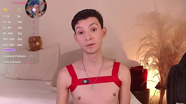 VicenteFerrer webcam