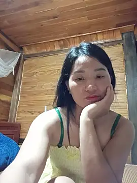 Td3di webcam