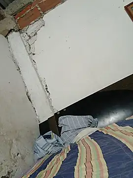 TWesleDFlor3 webcam