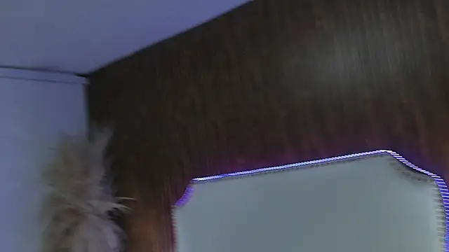 _Cherry_fox webcam