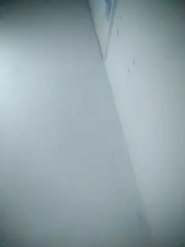 sparks256 webcam