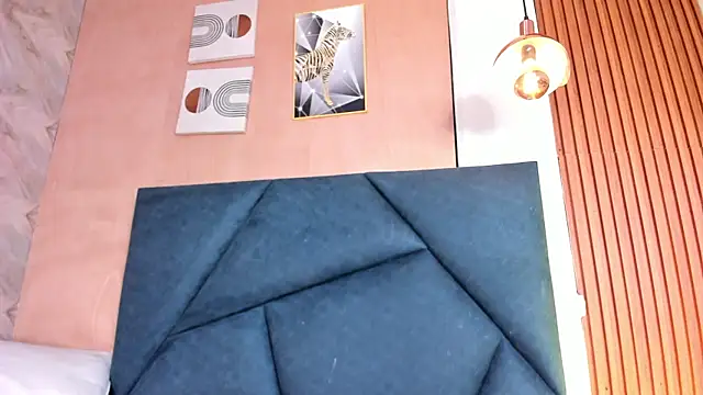 LaurentFerrer webcam