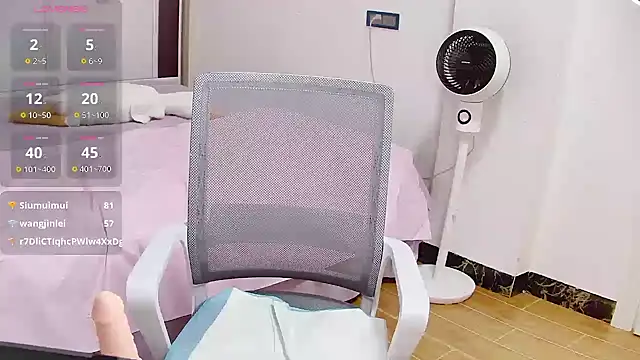EE-01 webcam