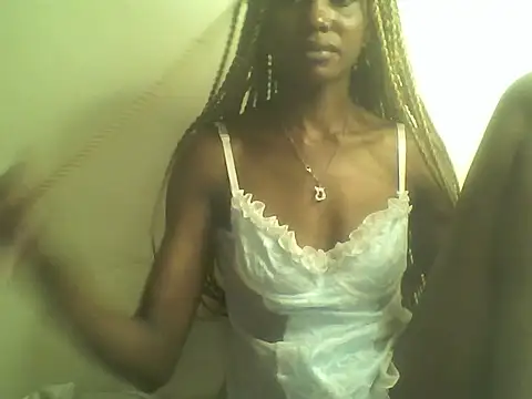 DelteAfriq webcam