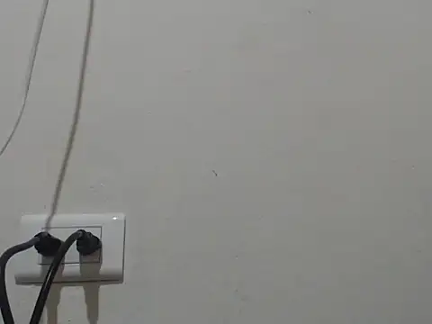 aria_rouss webcam