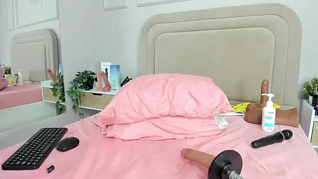 Liastarkk webcam