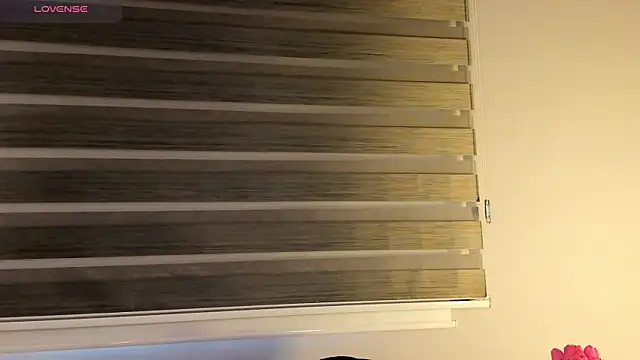 MERIDA_TAYLOR webcam
