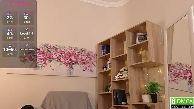 Sue_Sanders webcam