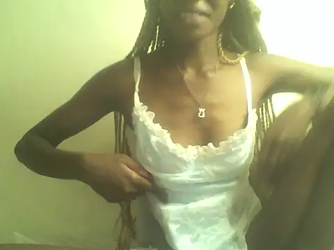 DelteAfriq webcam