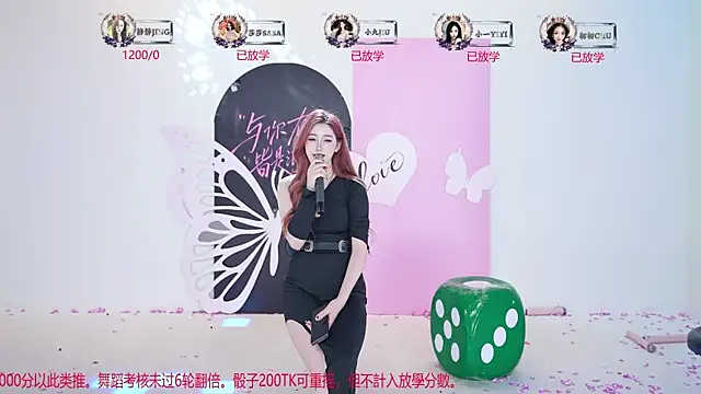 TY-002 webcam