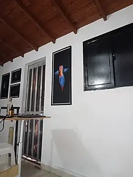 SilvaBranko webcam