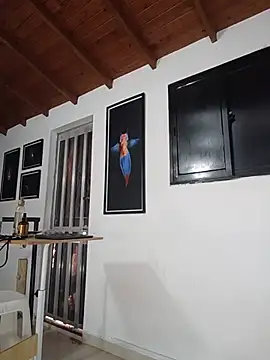 SilvaBranko webcam