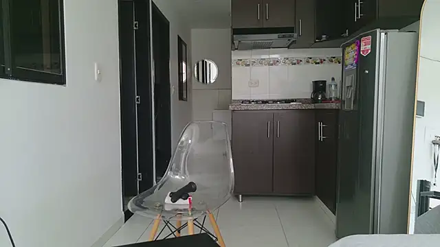 grey___27 webcam