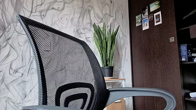 Arteemiiis webcam