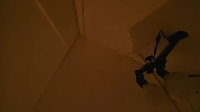 DannaDooll99 webcam