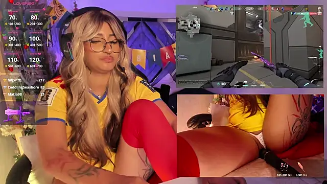 AriaNova_ webcam