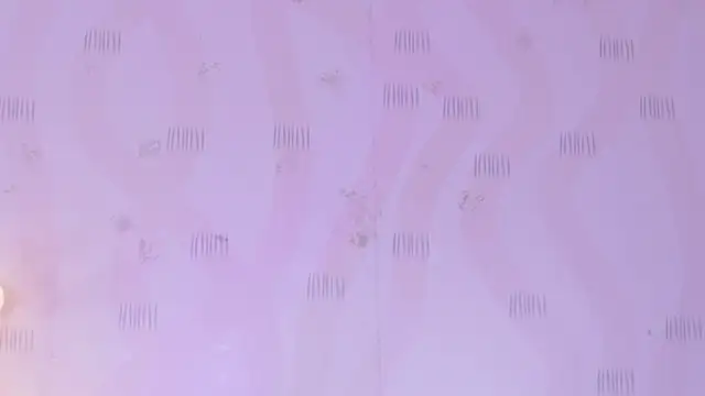 ThinPrincesss webcam