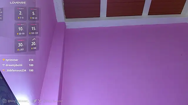 king_falconer webcam