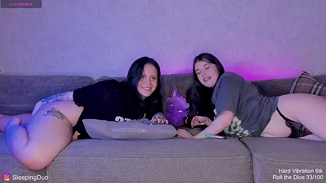 SleepingDuo webcam