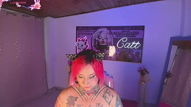 catt_monroe webcam