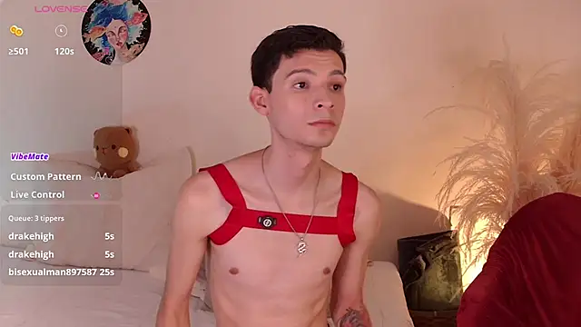 VicenteFerrer webcam