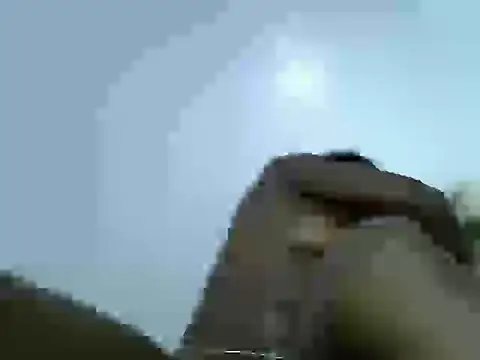Dirtybrown2 webcam