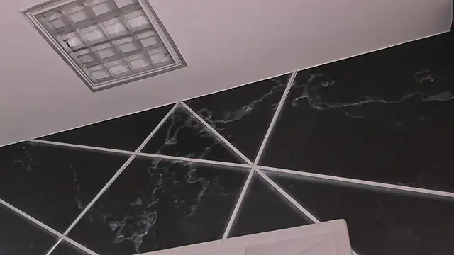 AerumChae webcam