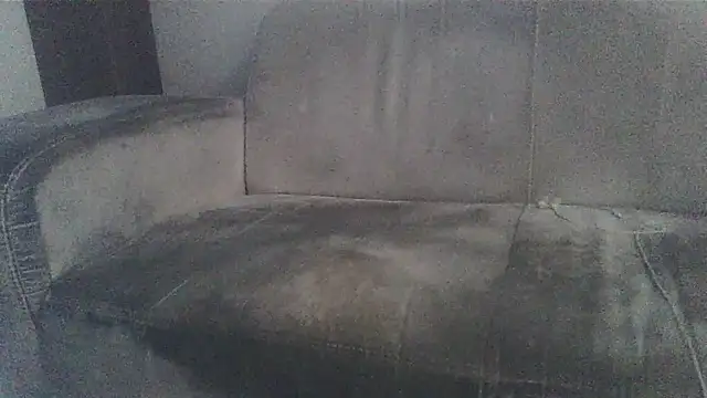 CORONALD webcam