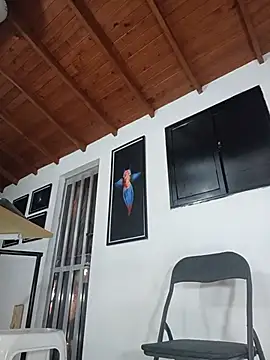 SilvaBranko webcam