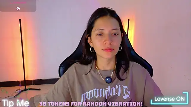 Sarasavage webcam