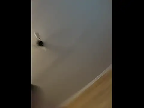MartinBrandon avatar